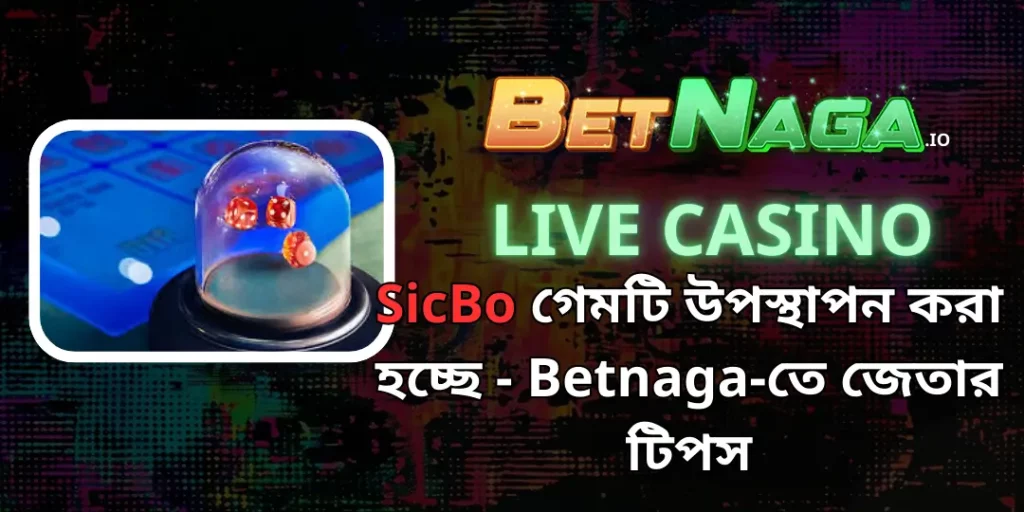 Live Casino- SicBo গেমটি উপস্থাপন করা হচ্ছে - Betnaga-তে জেতার টিপস 5 sicbo betnaga