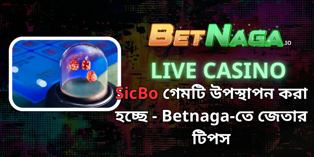 Live Casino- SicBo গেমটি উপস্থাপন করা হচ্ছে - Betnaga-তে জেতার টিপস 1 sicbo betnaga